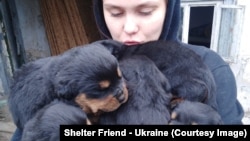 Снимка: Shelter Friend, Украйна