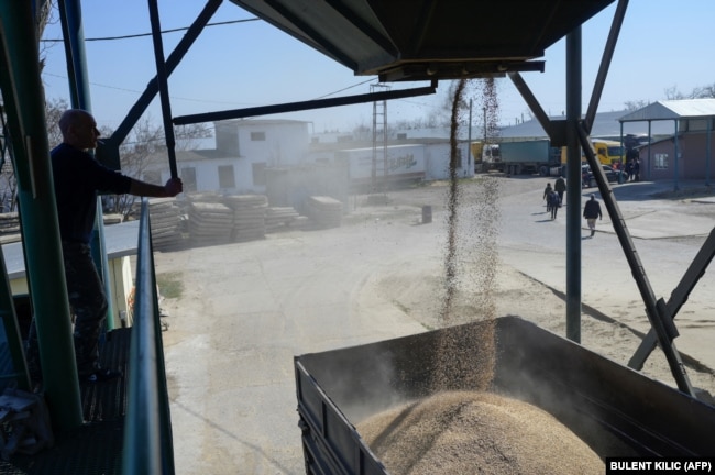 A truck is loaded with wheat near Izmayil.