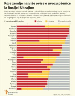 Infographic, Which countries depend on imports of wheat from Russia from Ukraine, March 2022.