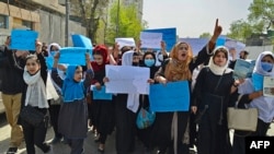 دختران دانش آموز٬ معلمین زن و نهاد های جامعه مدنی در افغانستان تلاش دارند طالبان را به بازگشایی مکاتب دخترانه ترغیب کنند. 