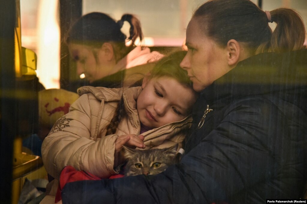 Një fëmijë duke përkëdhelur një mace në një autobus me refugjatë që po iknin nga lufta e nisur nga Rusia në Ukrainë. (Lviv, 13 mars)