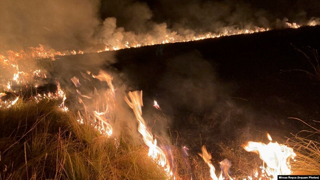 Foto: Ilustrație incendiu de vegetație.