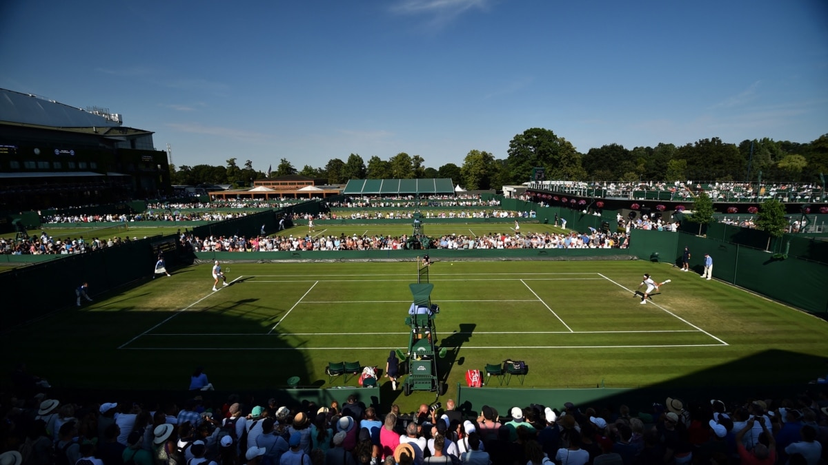 Wimbledon: How to apply for the ticket ballot for the 2024 tournament, UK  News