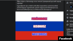 Részlet a tüntetés oldaláról. A putyini propaganda tagadja az ukrán nép létezését, kisoroszoknak hívják őket