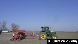 A Ukrainian farmer drives a tractor as he works in a field in Izmail on March 24. The fate of the war in Ukraine is currently being played out in the east of the country, but the food security of tens of millions of people around the world depends on the sowing of Ukrainian crops which has begun in the west and south, areas that are relatively sheltered from the fighting.