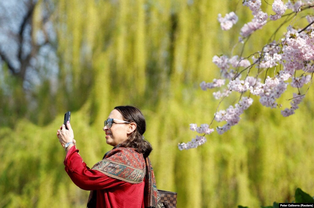 Një grua duke u fotografuar para një peme të lulëzuar në Parkun e Shën Xhemsit, në Londër, Britani, më 24 mars.