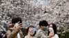 Japan je prvi na listi za 2021. prema WEF-om indeksu turističke razvijenosti