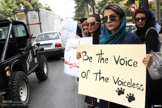 Animal rights activists in Shiraz protest against the culling of dogs in 2015.