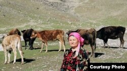 Аксар қишлоқликларнинг қишу ëз жонига оро кирадигани¸ уларнинг чорваси бўлиб қолган.