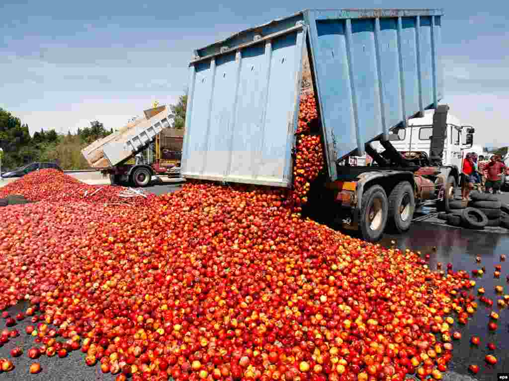Французские фермеры завалили персиками скоростное шоссе в Перпиньяне, протестуя против того, что супермаркеты предпочитают закупать дешевые фрукты в Испании