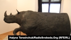 Волохатий носоріг з колекції Львівського природничого музею
