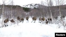 Совместные военные учения военнослужащих НАТО и Швеции и Финляндии за Полярным кругом в пограничье Швеции, Норвегии и Финляндии. Март 2023 года