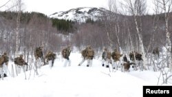 Američki marinci na vojnoj vežbi "Hladni odgovor 2022", koja je okupila oko 30 hiljada vojnika iz država članica NATO, a učestvovale su i Švedska i Finska. Vežba je bila u blizini Bjerkvika u Arktičkom krugu, 24. marta 2022, u toku ruske agresije na Ukrajinu. 