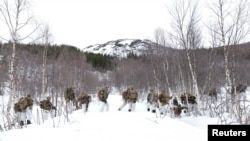 Amerikai tengerészgyalogosok a NATO, Finnország és Svédország harmincezres, közös hadgyakorlatán az Északi sarkkörön, Norvégiában egy hónappal azután, hogy Oroszország megtámadta Ukrajnát. Bjerkvik, 2022. március 24