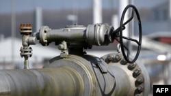 The head of the state energy company Naftogaz said gas flows to Europe via Ukraine could fall by one-third unless Russia switches to using a different route.