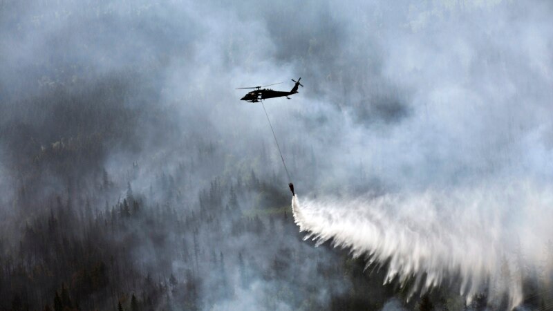 ОН: шумските пожари и поплавите можат да се спречат