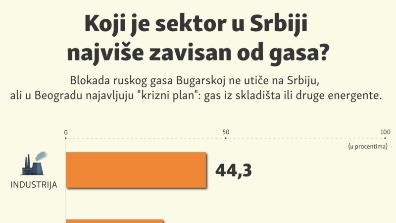Koji je sektor u Srbiji najviše zavisan od gasa?