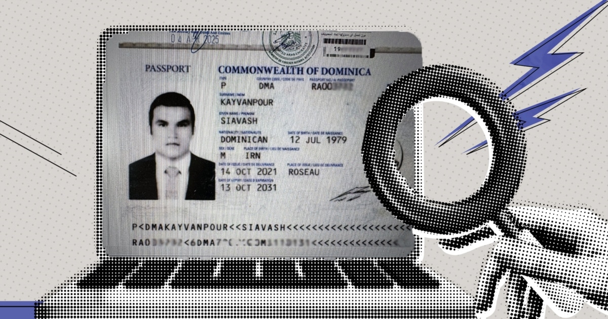 შუამავალი ფირმა დაგვიკავშირდა, პირადად არ გვქონია კომუნიკაცია - სანქცირებული Shelbit-ის წარმომადგენელი იურისტი