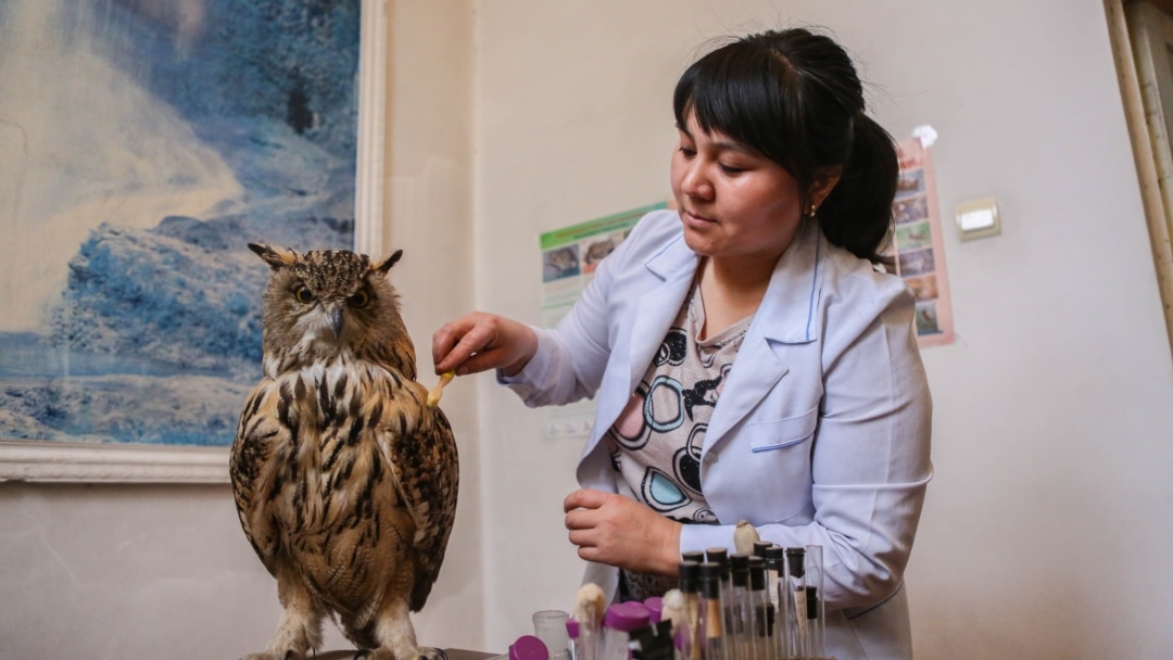 Қаншықтарға арналған секс