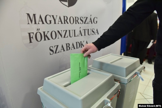 Një votues duke votuar në konsullatën hungareze në Suboticë, Serbi, më 3 prill.