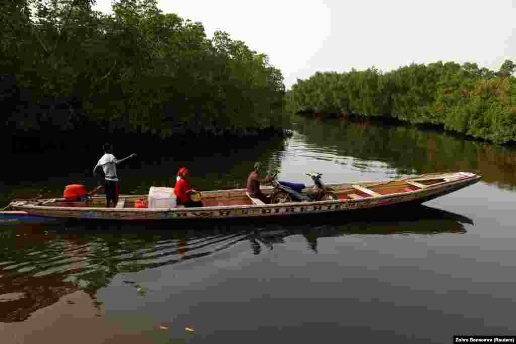 Обычная жизнь сенегальцев. Мужчина жестикулирует, пока везёт свой мотоцикл на пироге вдоль мангровых зарослей в дельте Салума. 21 февраля 2022 г.