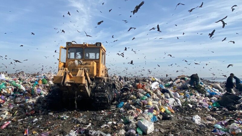 Глава союза рисоводов написал донос из-за протестов против мусорного полигона на Кубани