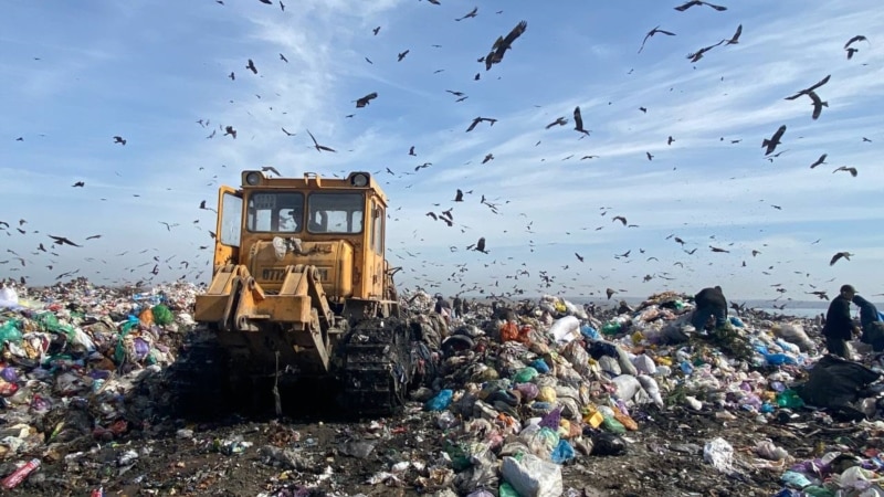 Власти ищут подрядчика для строительства мусорного полигона в Коряжме 