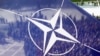 Генерал НАТО в отставке: «У Путина нет сдерживающих факторов»