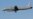 Israel Rejects Russian Blame For Deadly Downing Of Surveillance Plane By Syria