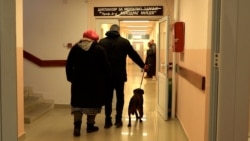  Еден ден со Роџер, терапевтскиот лабрадор на Клиниката за психијатрија