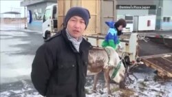 Гавазн - дар хидмати сокинон