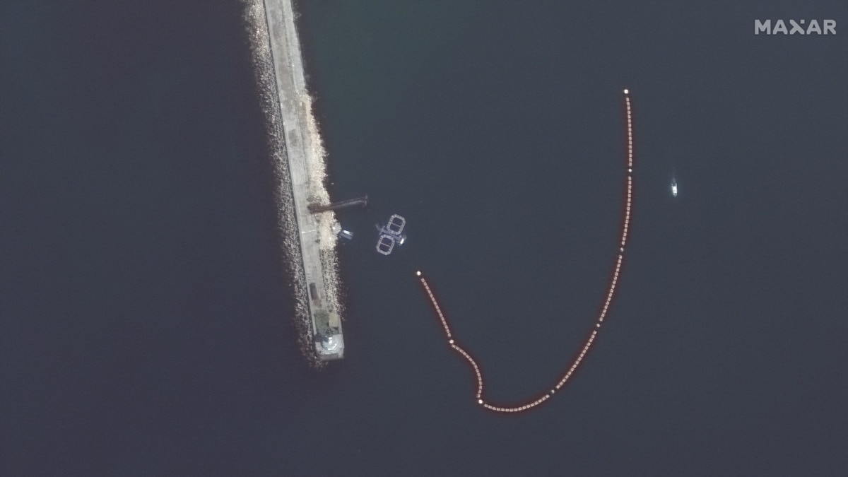 РФ збільшила число морських ссавців, яких використовує для захисту свого флоту в Криму РФ збільшила число морських ссавців, яких використовує для захисту свого флоту в Криму