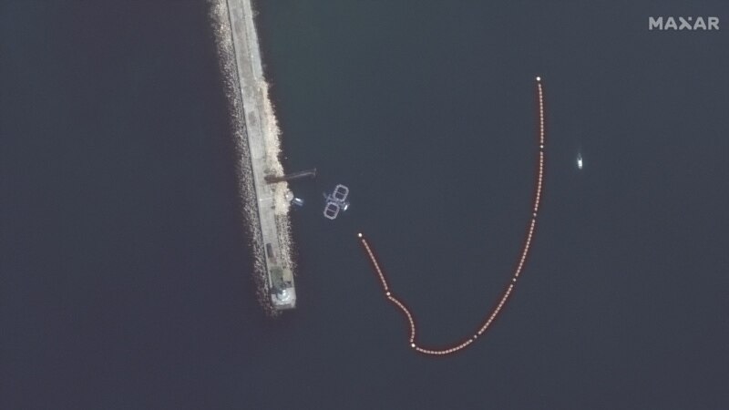 В Крыму после шторма исчезли боевые дельфины – OSINT-аналитик 