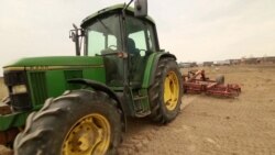 Bujqit ukrainas mbjellin arat nën kërcënimin e armëve