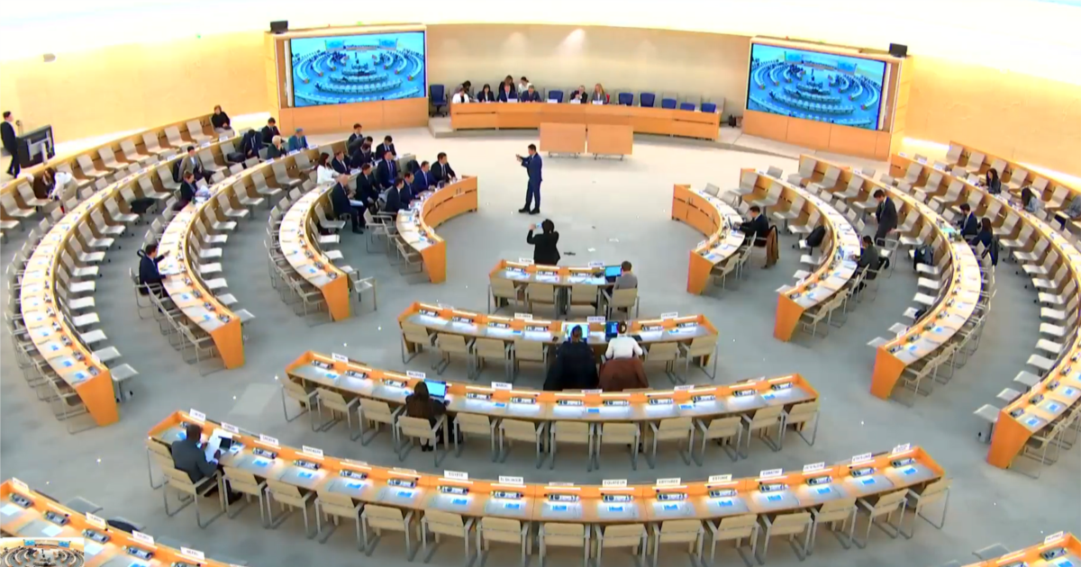 OHCHR: „მოვუწოდებთ ხელისუფლებას, ჩაატარონ სწრაფი, დამოუკიდებელი და ყოვლისმომცველი გამოძიება“