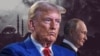 Владимир Зеленский, Дональд Трамп, Владимир Путин. Коллаж
