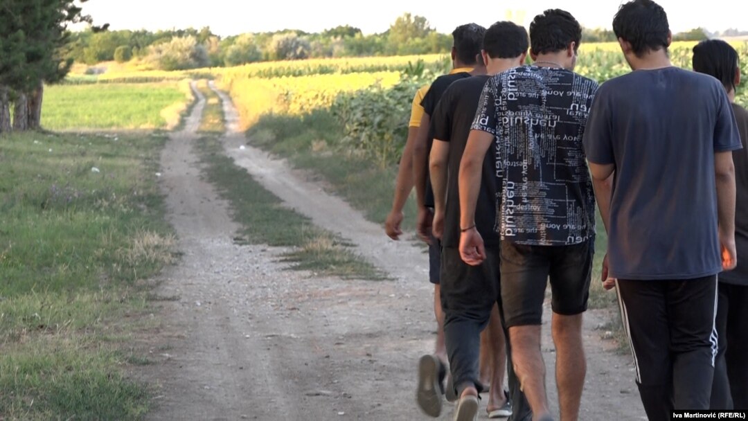 Mii de refugiați din Afganistan sunt așteptați să ajungă pe teritoriul României, frontiera verde cu Serbia fiind principala poartă de intrare în țară