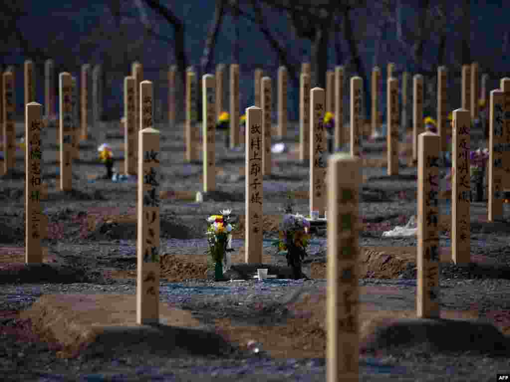 Japan - Groblje nastradalih u potresu i tsunamiju 11.marta u gradu Onagawa, 12.04.2011. Foto: AFP / Yasuyoshi Chiba 