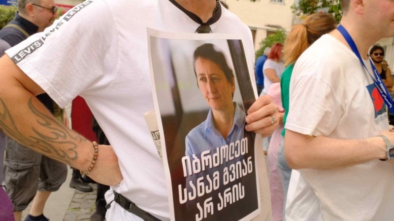 „ეს მუხლი ისეთივე აბსურდია, როგორც „პოლიციელზე თავდასხმის“ მუხლი“ - მაია მწარიაშვილი