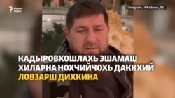 Нохчийчохь шуьйра ловзарш хIиттор дихкина, Украинехь кадыровхой байарна