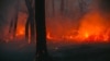 «Все горит вокруг». Масштабные пожары в России нечем тушить: авиация на войне с Украиной