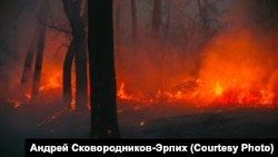 Пожары в Сибири, май 2022 года