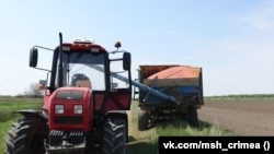 Сельхозтехника сеет рис в Красноперекопском районе, 4 мая 2022 года