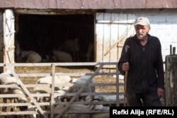Sakib Ademović radi kod Ismeta Ališanija iz prizrenskog kraja čuvajući stoku i živi u štali.