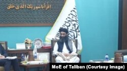 نورالله منیر، سرپرست وزارت معارف حکومت طالبان 