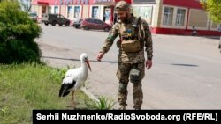 Харківщина. Позиції ЗСУ (фотогалерея)