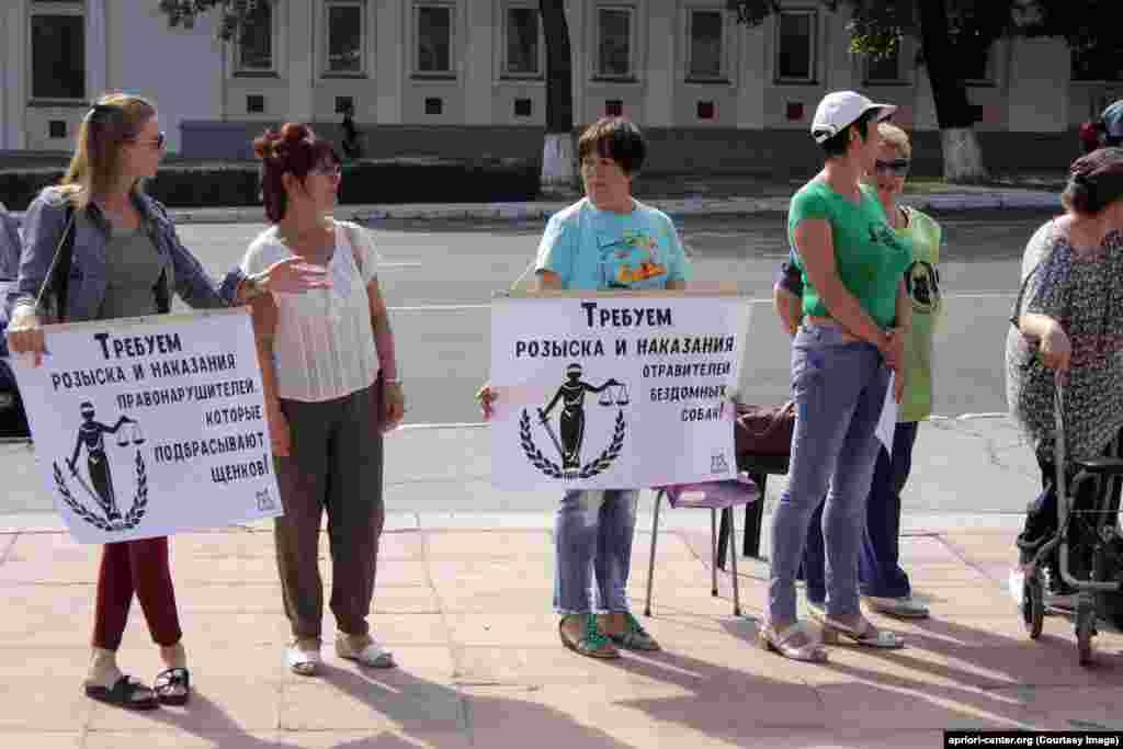 „Cerem identificarea și pedepsirea celor care omoară animalele fără stăpân”. Pichet în susținerea drepturilor animalelor la Tiraspol, în fața Sovietului suprem.