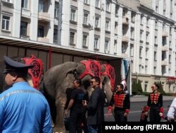 Сланоў рыхтуюць да шэсьця