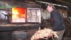 Тирса замість газу. Як Євросоюз українцям економити допомагає (відео)