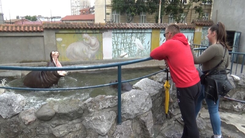Prvi koraci u Beogradskom zoo vrtu